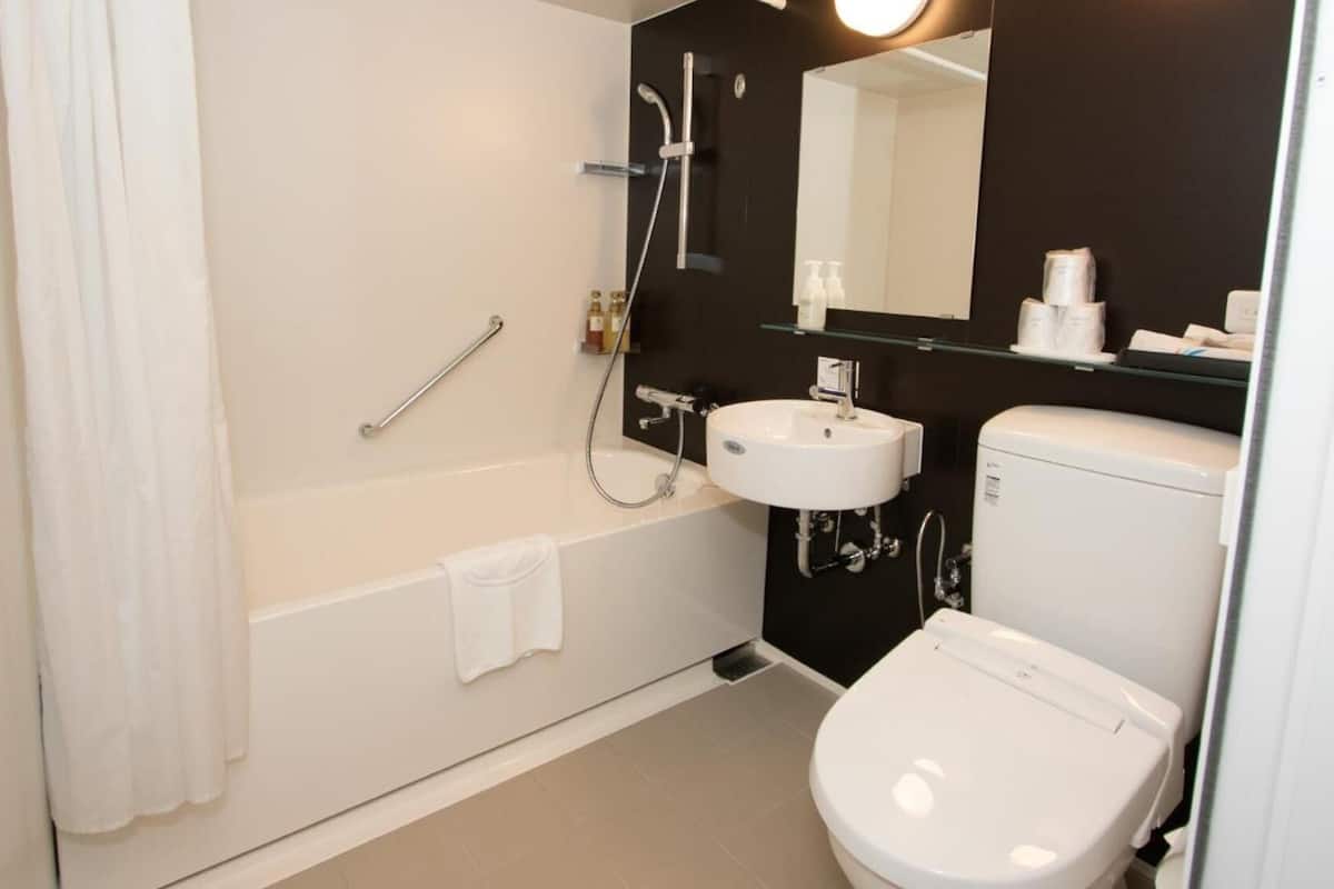 shower, free toiletries, hair dryer, slippers