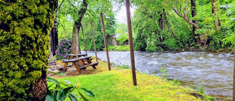 Grill-/piknikområde