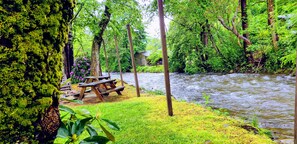 Área de parrilladas y picnic