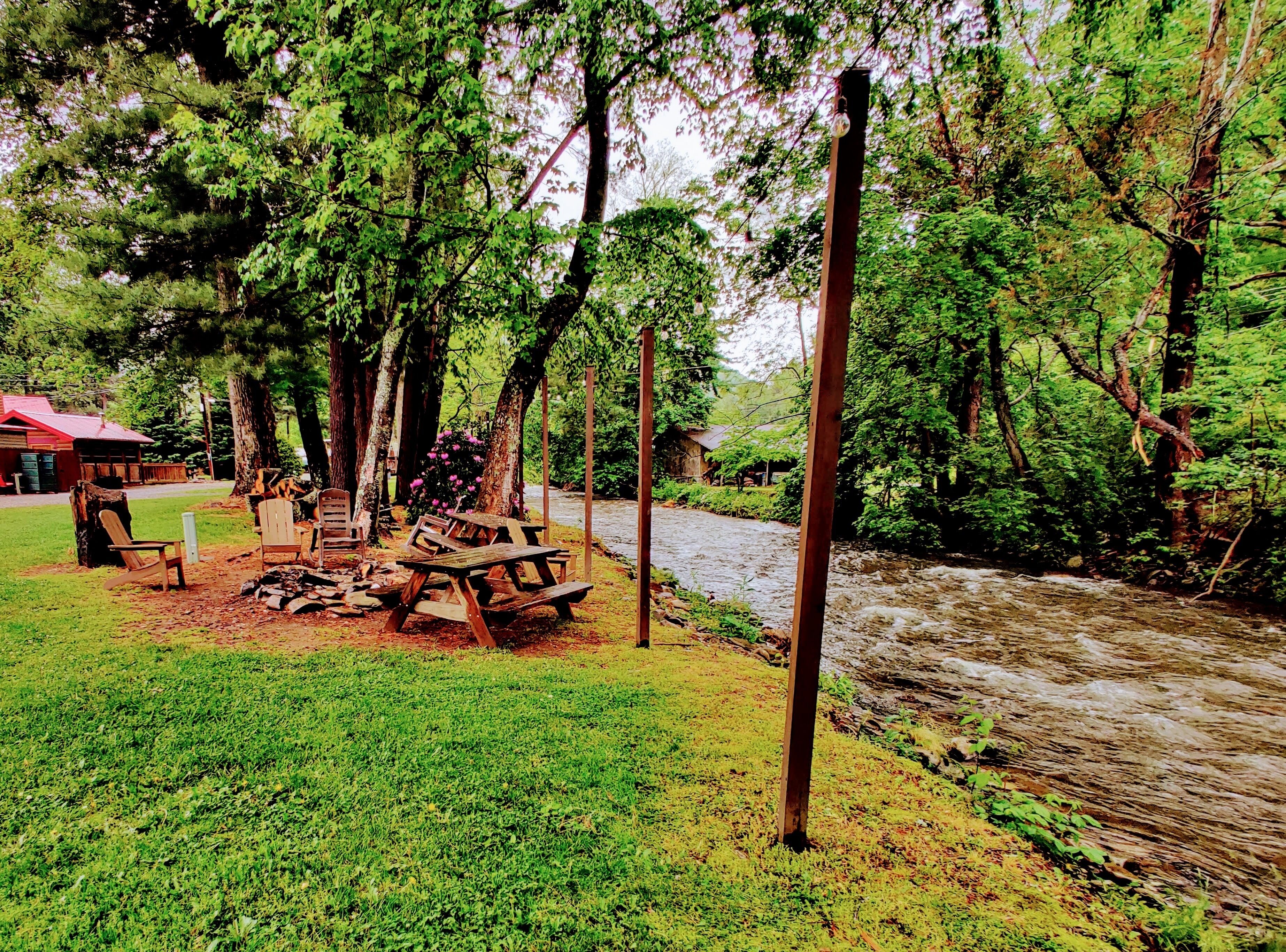 Un área de picnic con bancos y una mesa, rodeada de árboles y un río.