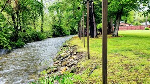 A river flowing through a wooded area with a grassy bank and wooden posts.