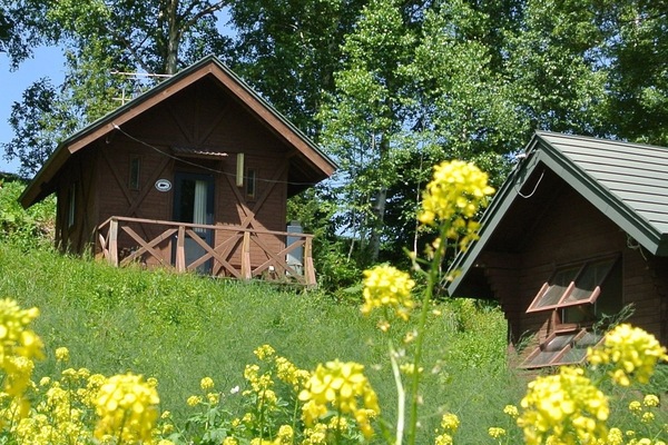 Pet Friendly Lodge, Non Smoking | Room amenity