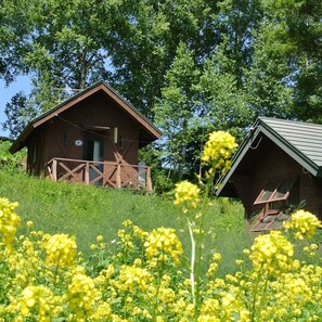 Eine rustikale Holzhütte mit Veranda, umgeben von üppigem Grün und gelben Blumen.