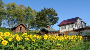 Eksteriør