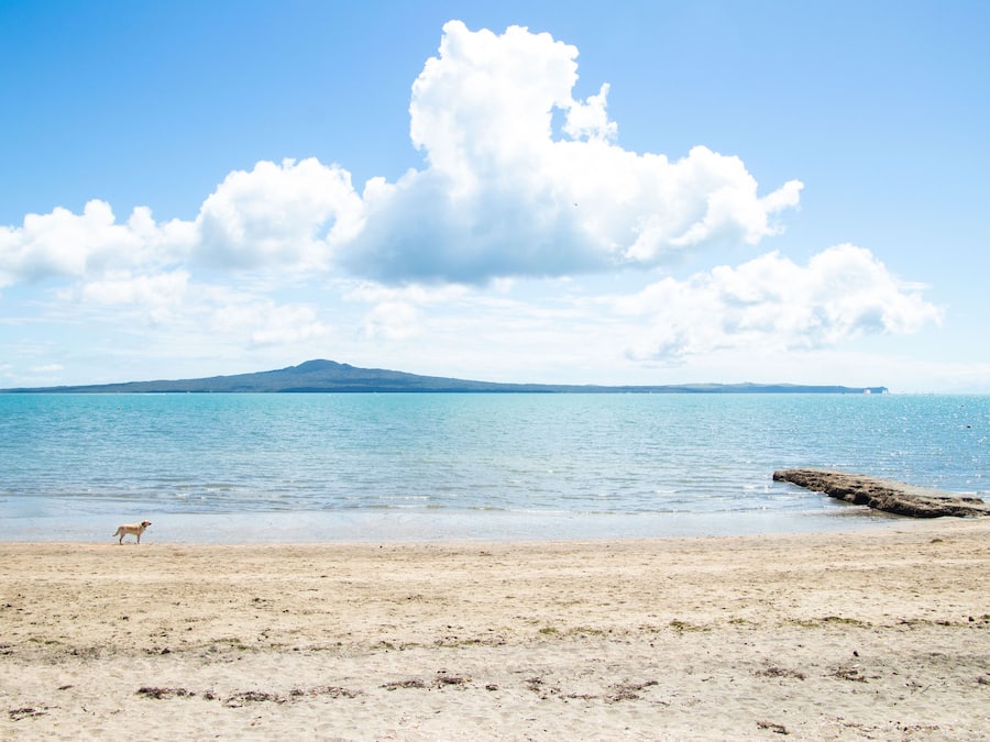 Land view from property