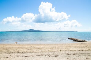 A beach with a dog, clear sky, and calm sea. - Aarangi Motel (Auckland)