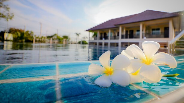 Une piscine avec deux fleurs blanches flottant à la surface de l’eau, et un bâtiment avec un toit rouge en arrière-plan.