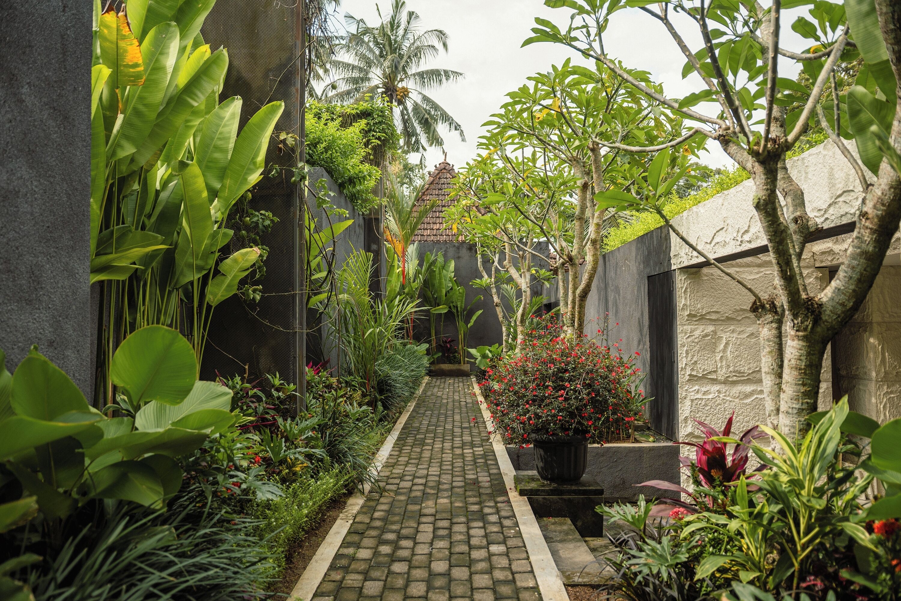 Foto - Origin Ubud