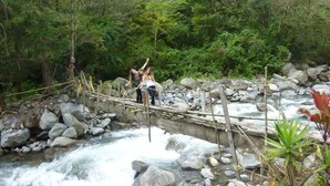A wooden bridge over a flowing river surrounded by dense forest.