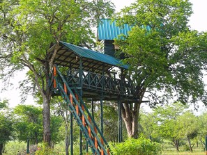 A treehouse with a metal staircase and a blue roof, surrounded by lush greenery. - Best Life Eco Resort Mattala (Hambantota)
