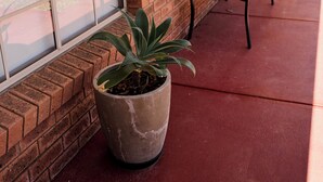 A brick building with large windows, a potted plant, and outdoor seating. - Bridge Motor Inn (Tocumwal)