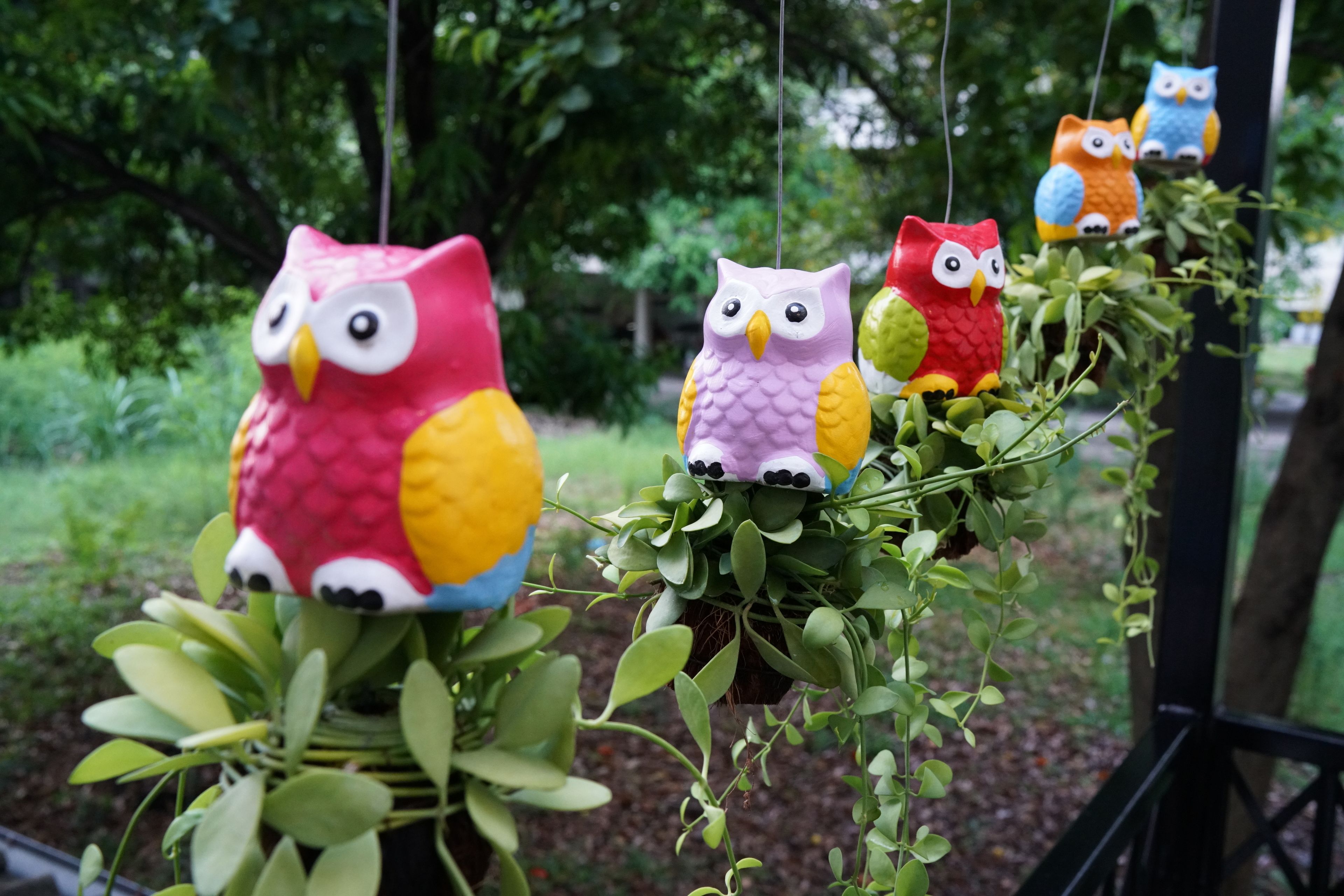 On a accroché des décorations en forme d’oiseaux à une plante.