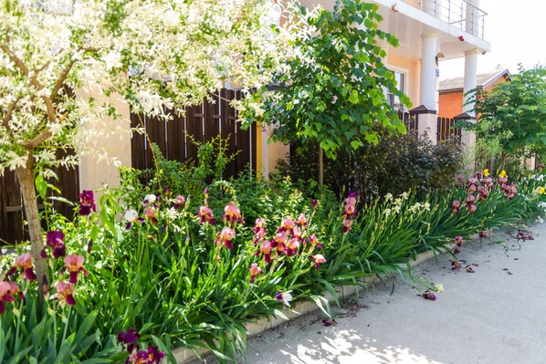 Utsikt mot trädgården