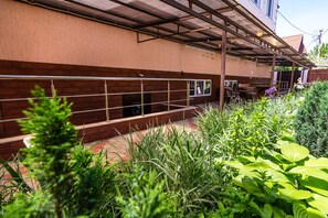 Relax in a serene outdoor space surrounded by lush greenery and comfortable seating.