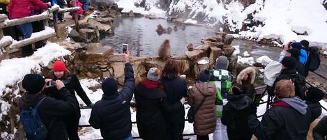 A group of people observing a natural hot spring surrounded by snow.