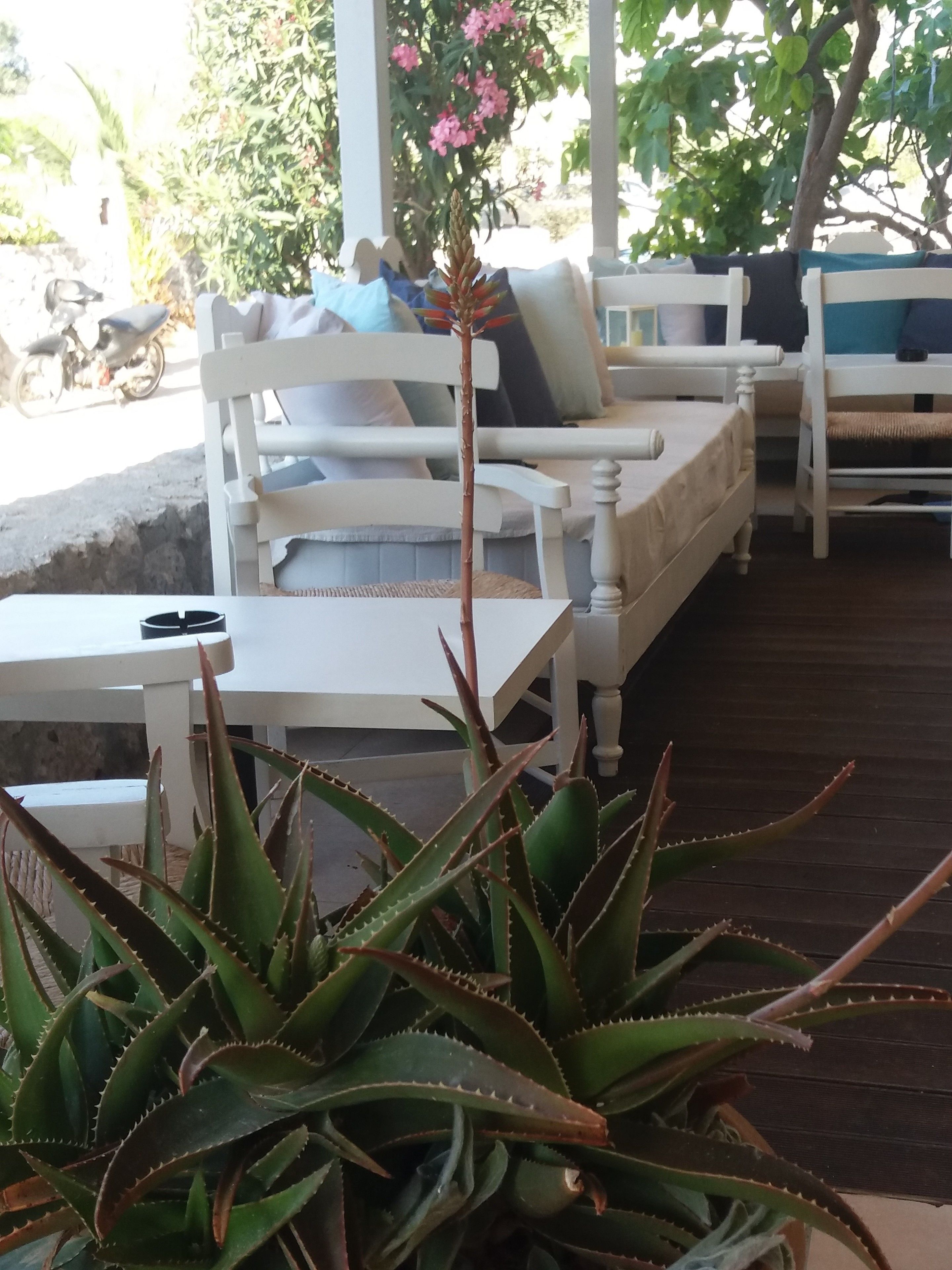 A cozy outdoor seating area with white furniture, a table, and a potted aloe plant.
