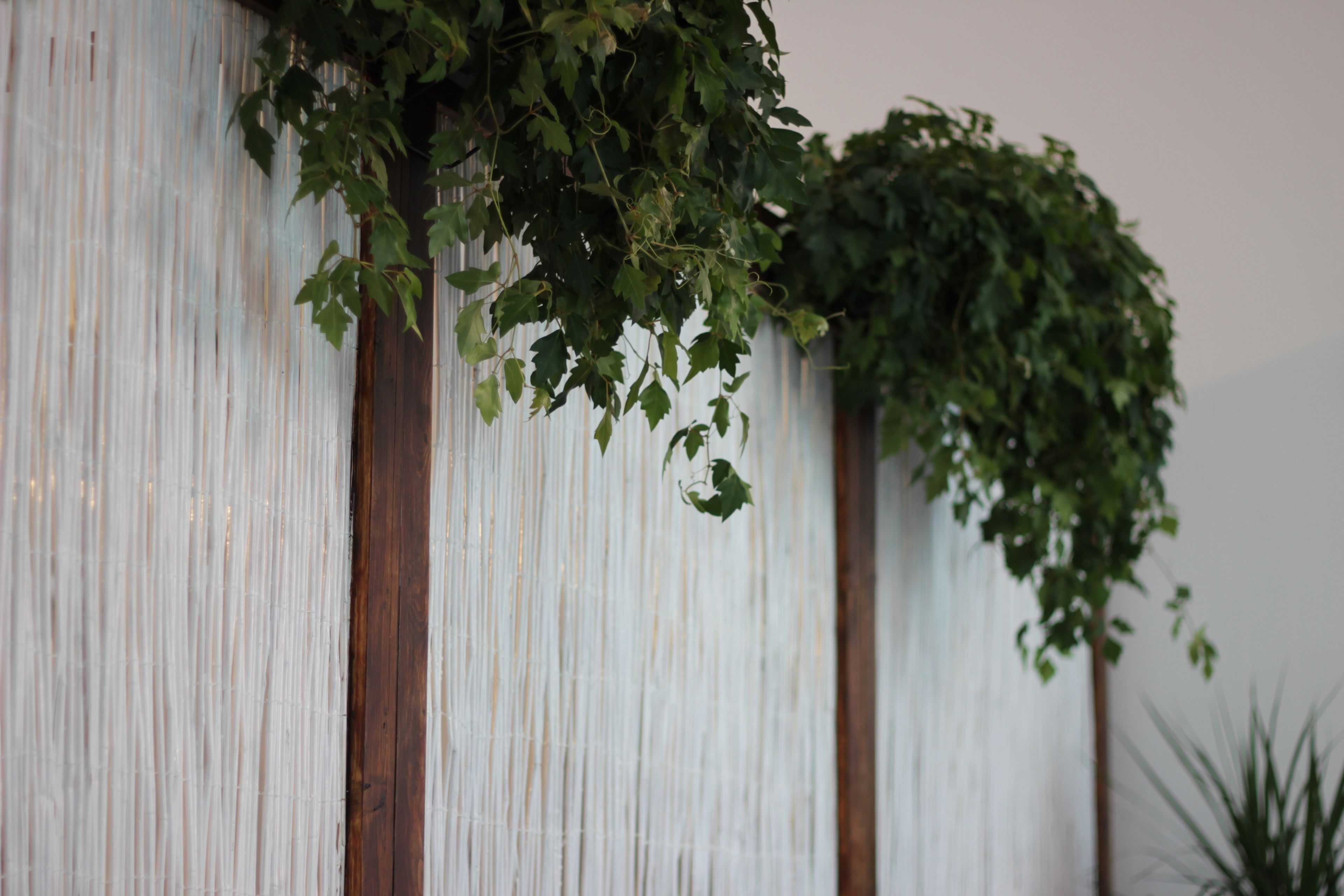 Photo - B&B Gallidoro