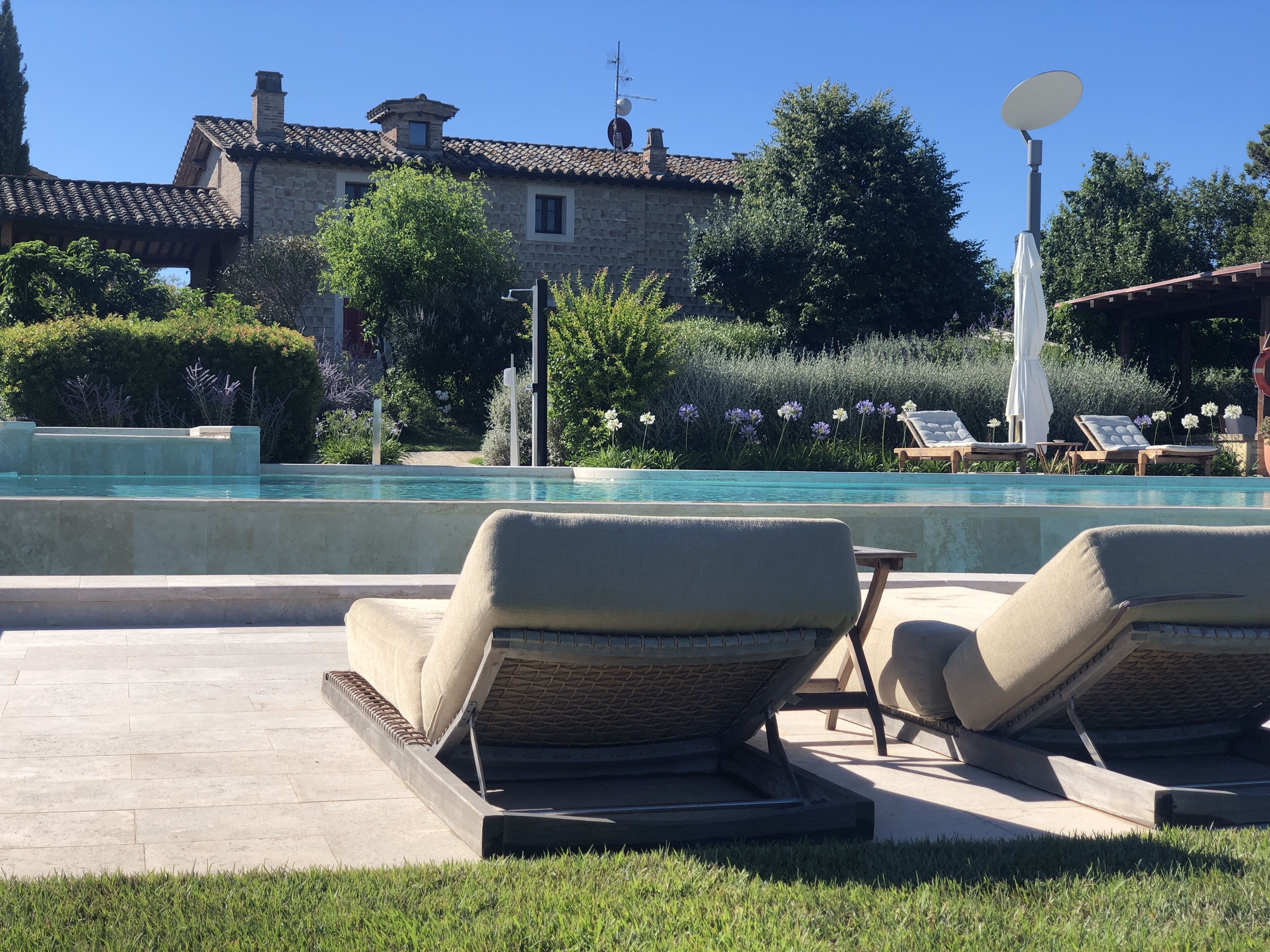 Seasonal outdoor pool, pool umbrellas, pool loungers