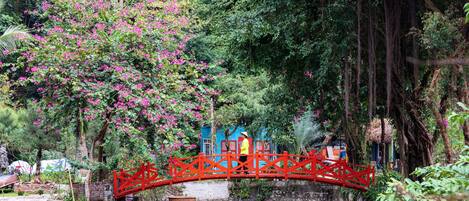 A red bridge over a calm water body with lush greenery and a small building in the background.