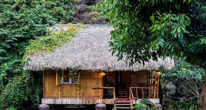 An's Eco Garden