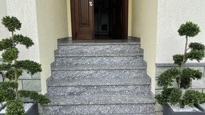 Unos escalones de piedra conducen a una puerta de madera, flanqueados por dos macetas con plantas.