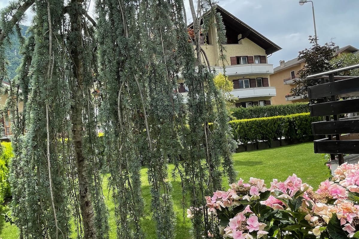 A weeping willow tree in a landscaped garden with pink hydrangea flowers.