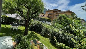 Un patio con un árbol, un pequeño jardín y un edificio al fondo.