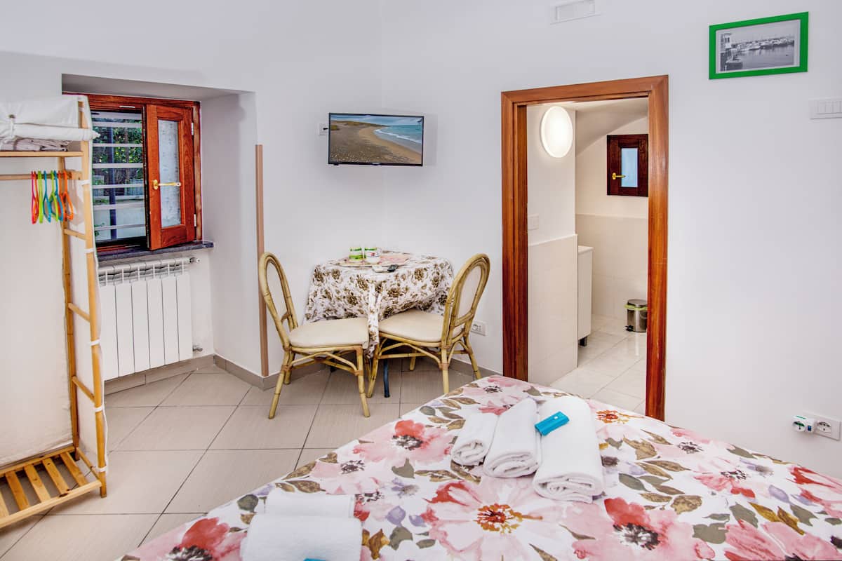 Studio | 1 bedroom, minibar, individually decorated, individually furnished