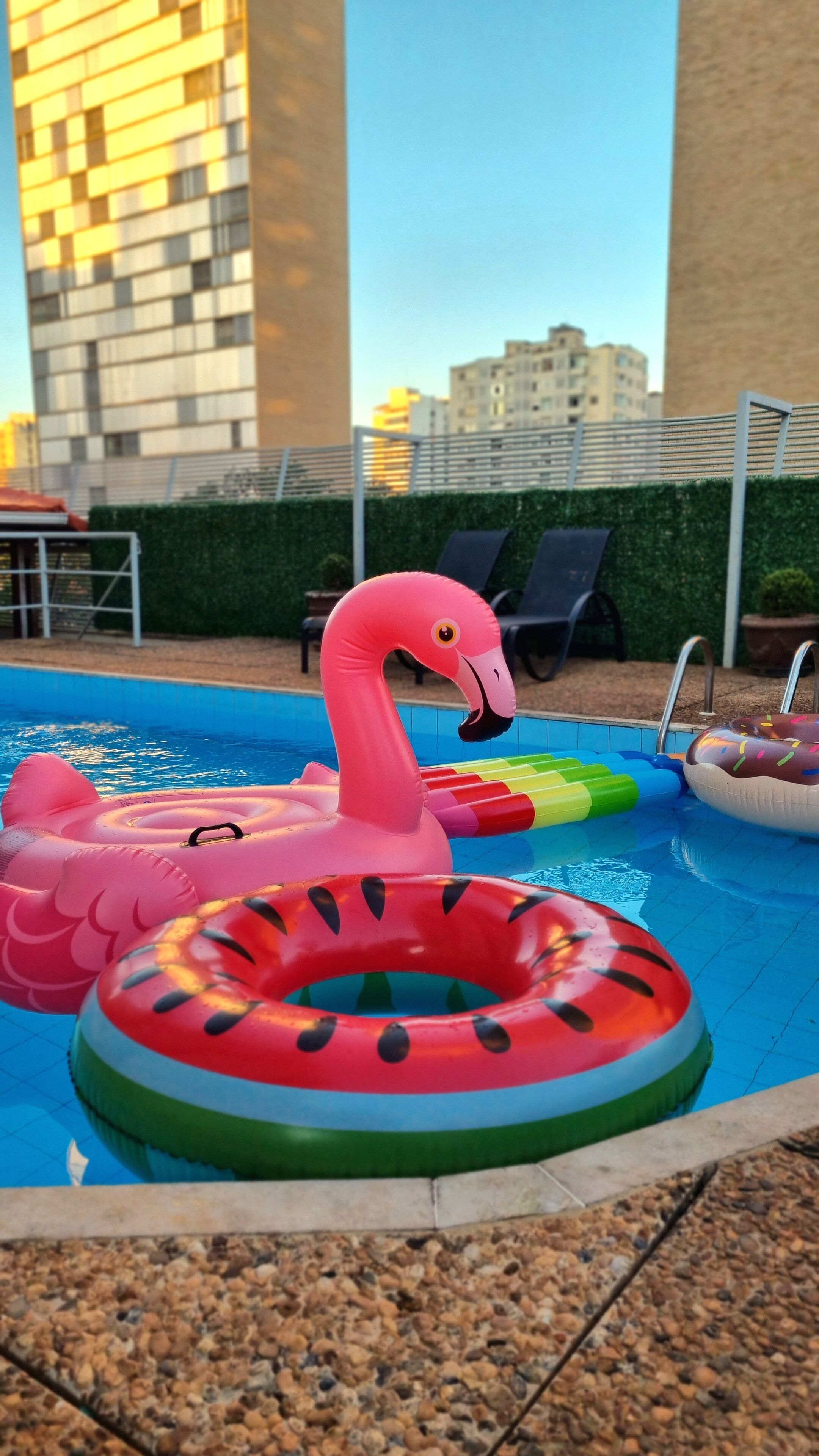 Piscina externa, espreguiçadeiras