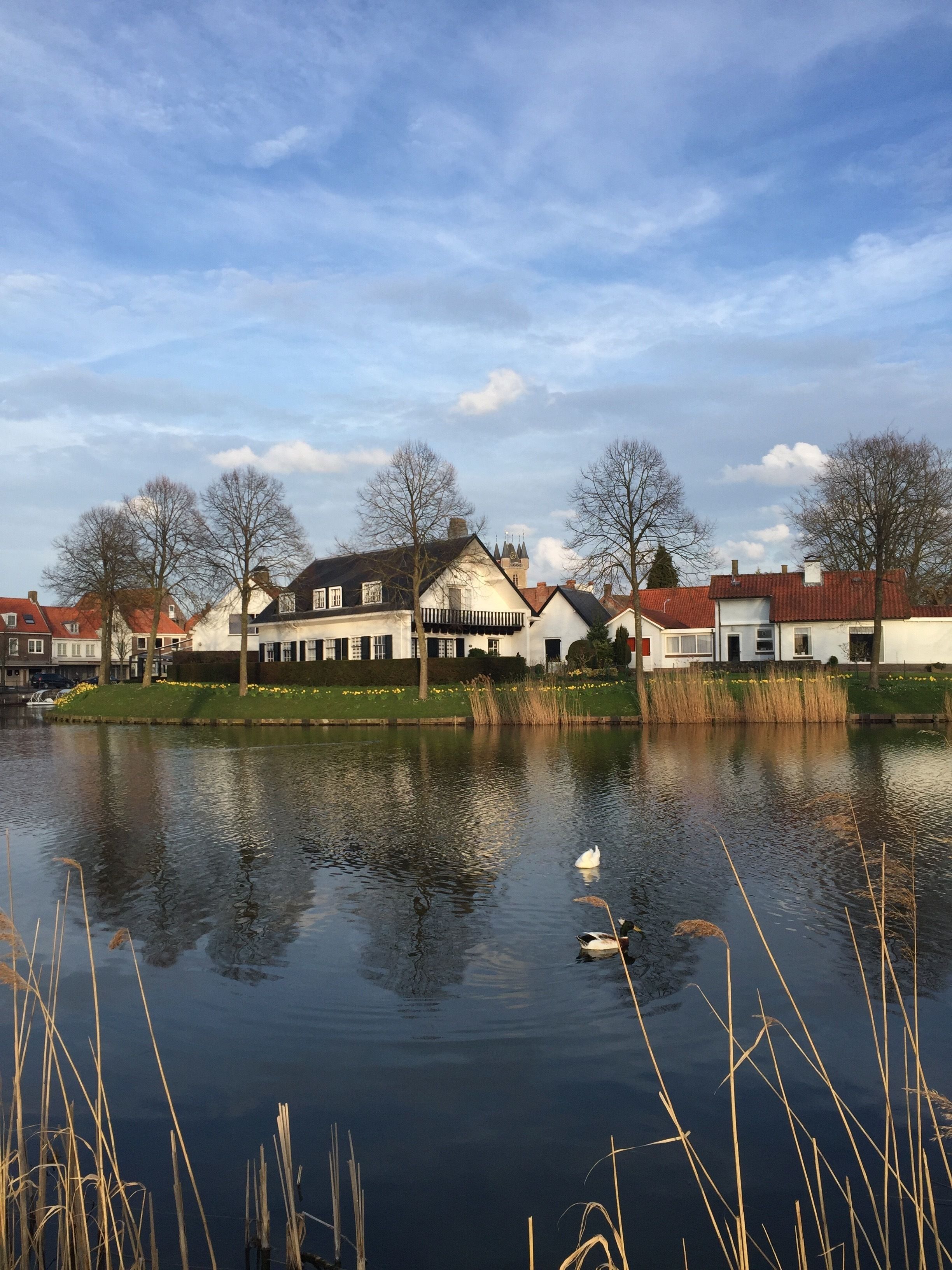 A serene lakeside view with traditional houses, a clear sky, and a swan on the water.