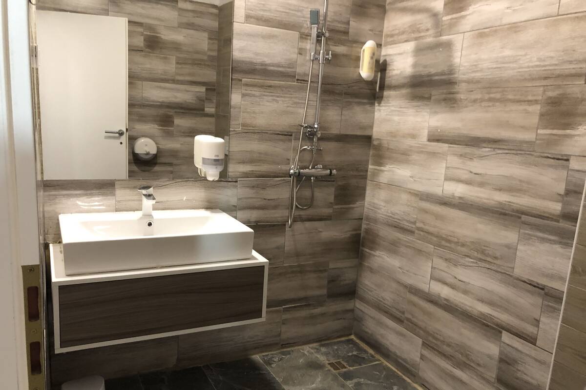 A modern bathroom with a white sink, a handheld showerhead, and a toilet.