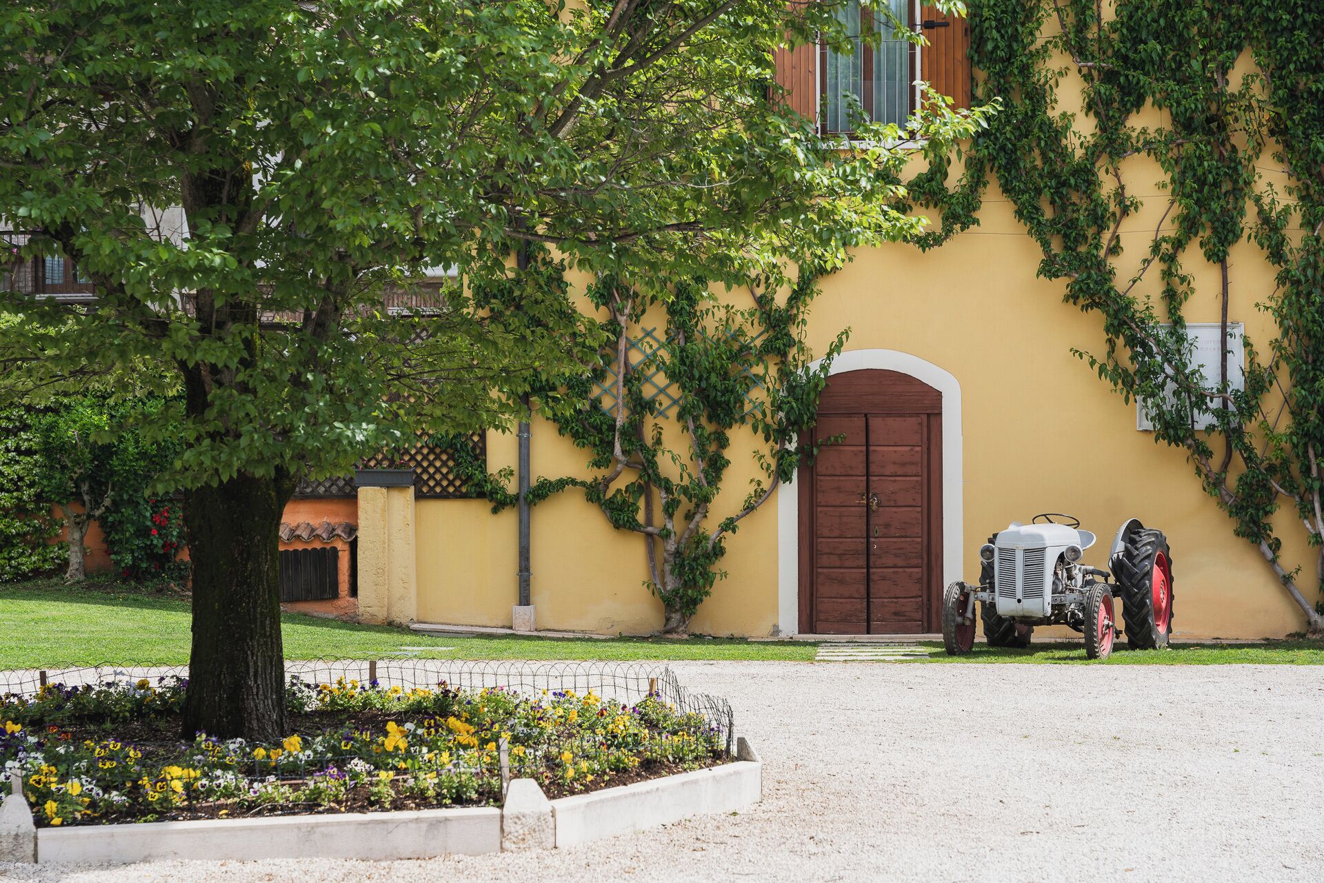 Esterni