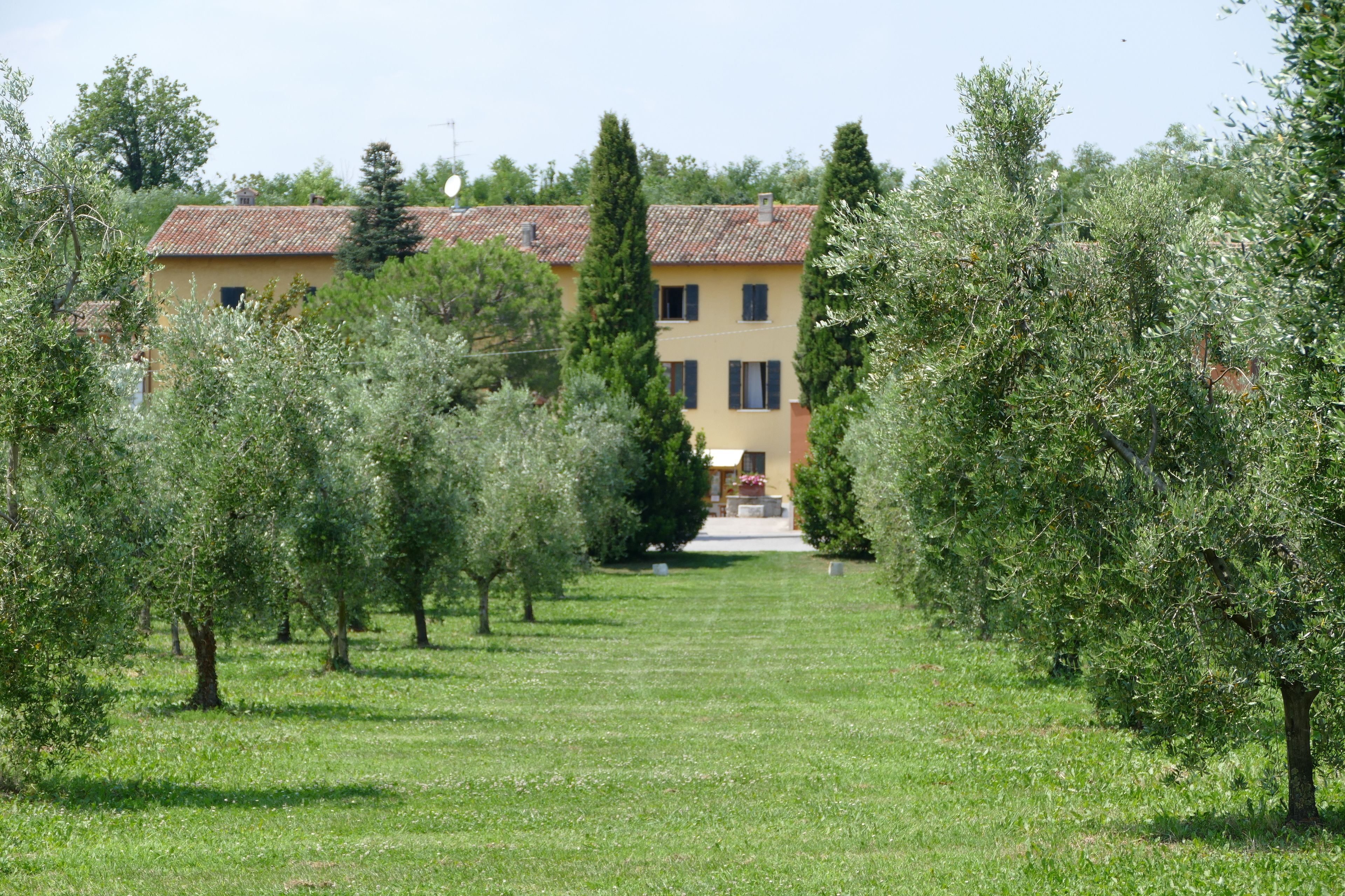 A building with a tiled roof and a garden with olive trees.