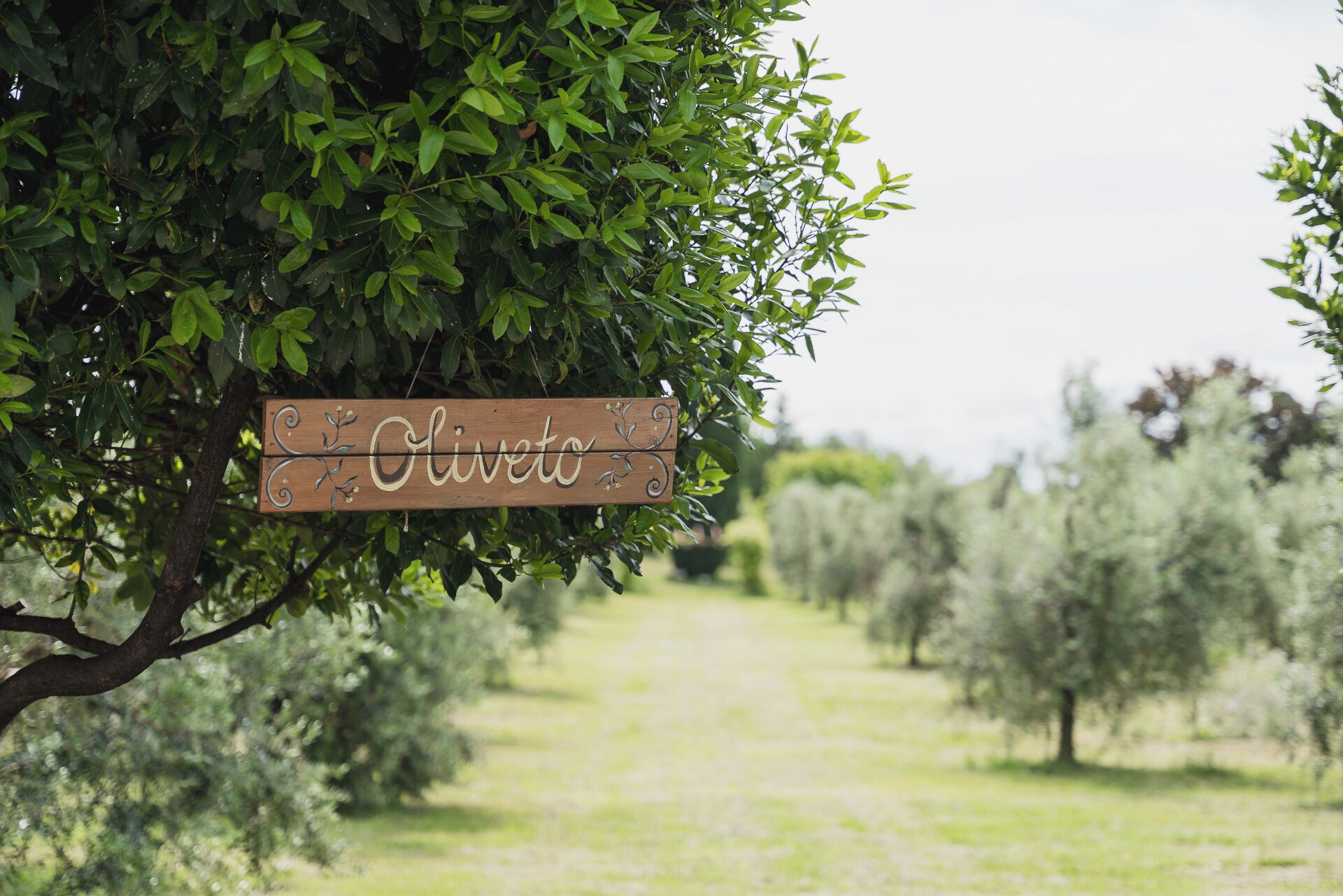 Une pancarte en bois portant le nom « Olive » est suspendue à une branche d’arbre.
