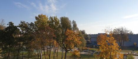 A parking area with a van, a car, and a bus. There are trees with autumn leaves and a building in the background.