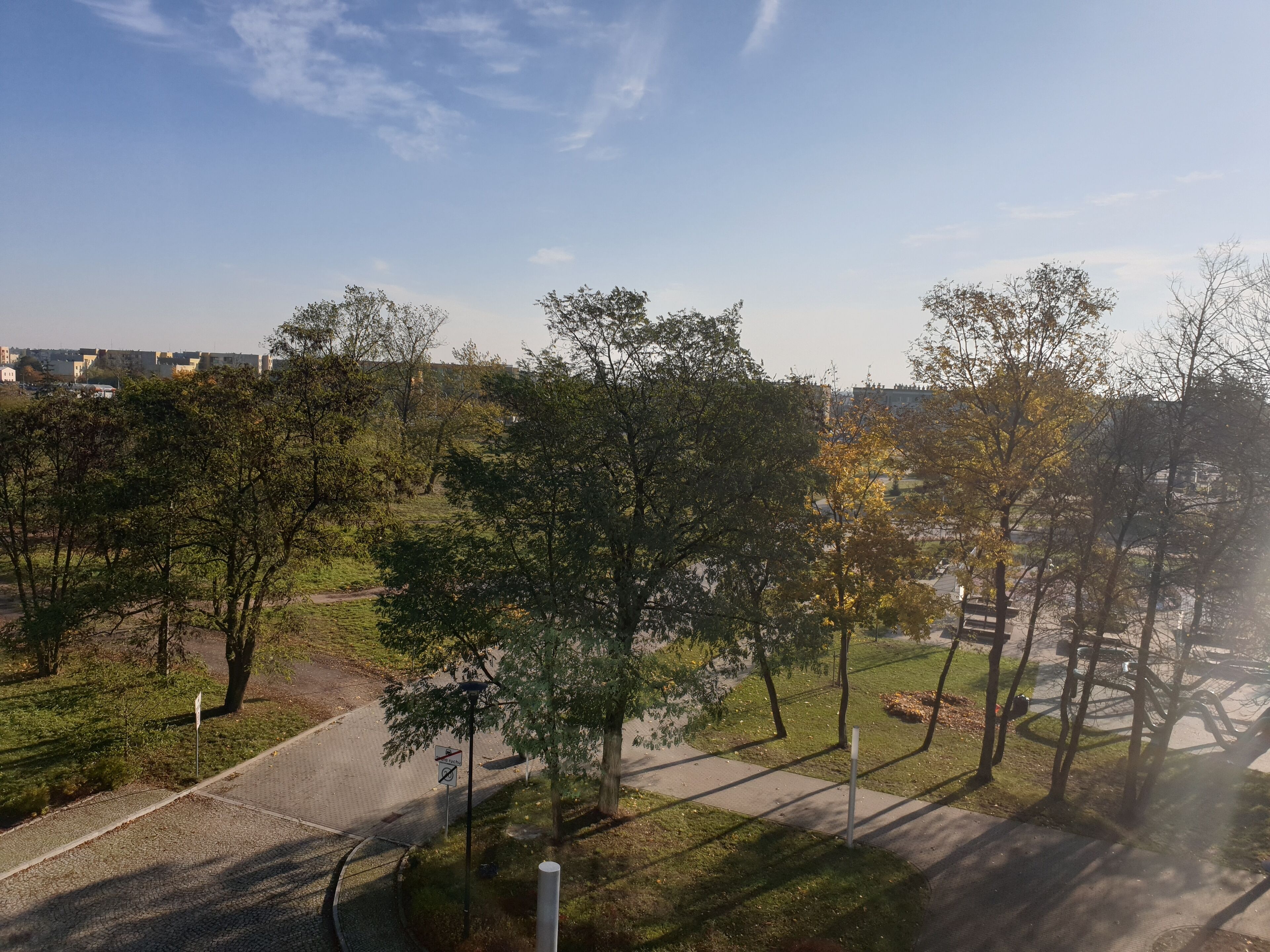A park with trees, a paved path, and a view of buildings in the distance.