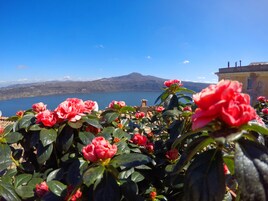 Vistas desde la habitación