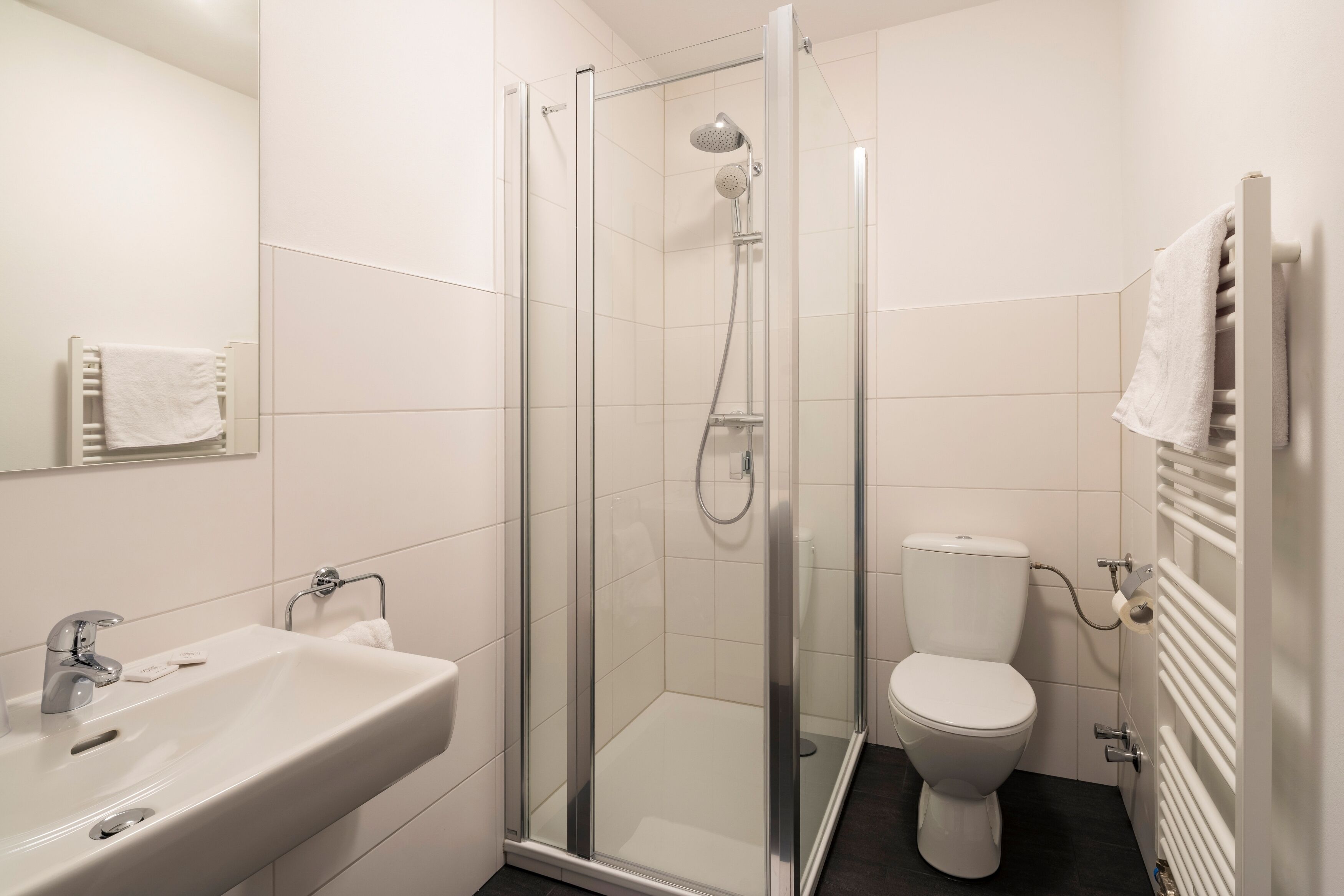 A modern bathroom with a glass-enclosed shower, a white sink, and a toilet.