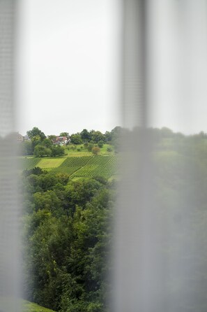 Vista desde la habitación