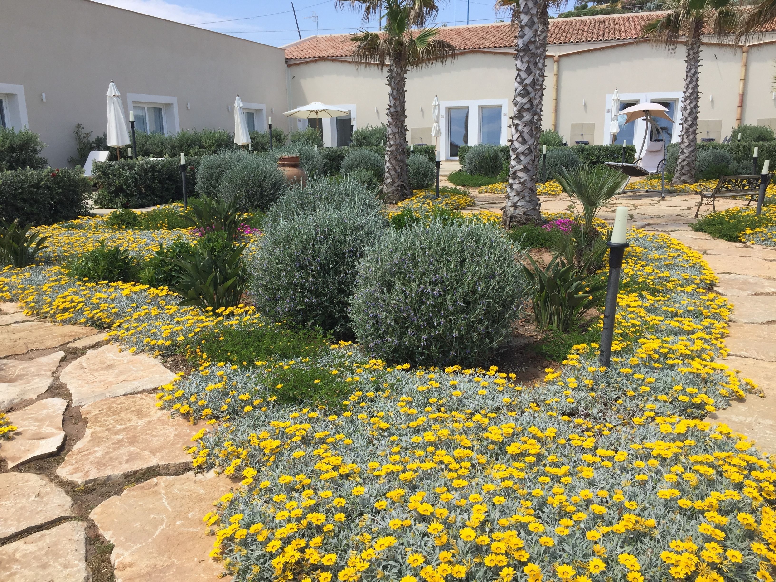 A courtyard with yellow flowers, stone pathways, and palm trees.