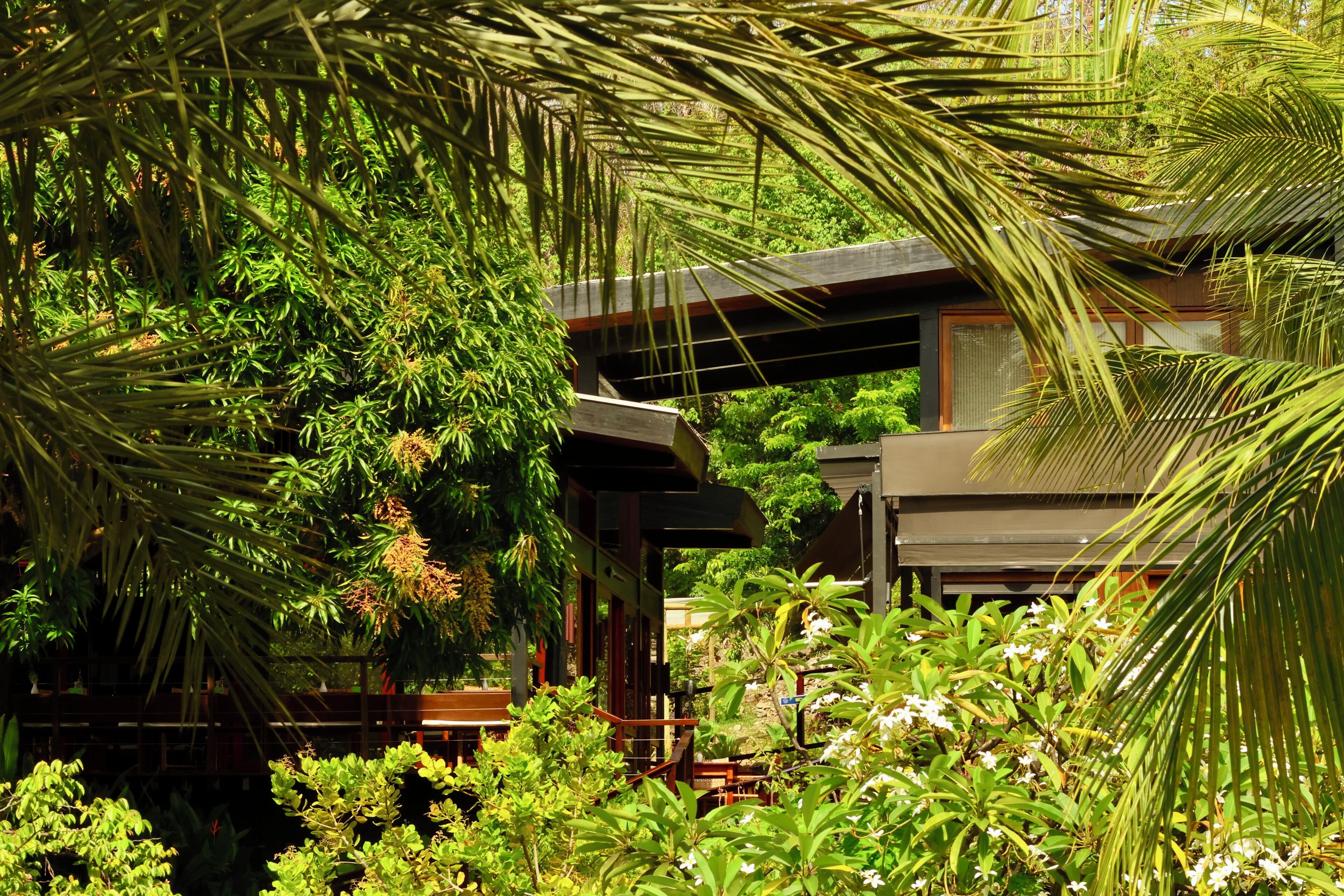 Una casa moderna rodeada de exuberante vegetación y plantas tropicales.
