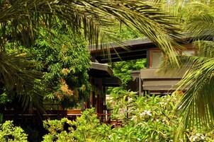 Una casa moderna rodeada de exuberante vegetación y plantas tropicales.