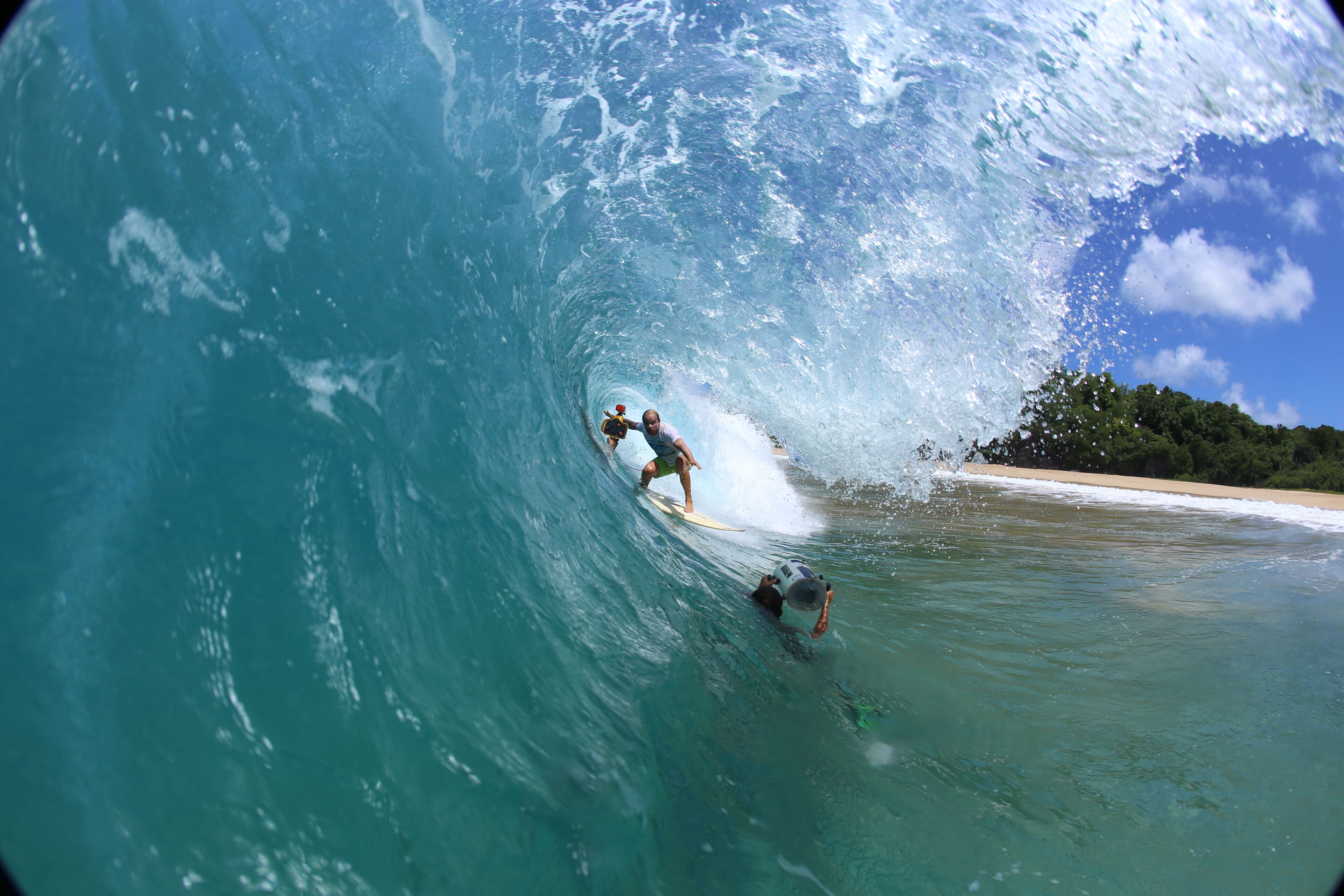 A person surfing a large wave with a beach and trees in the background.