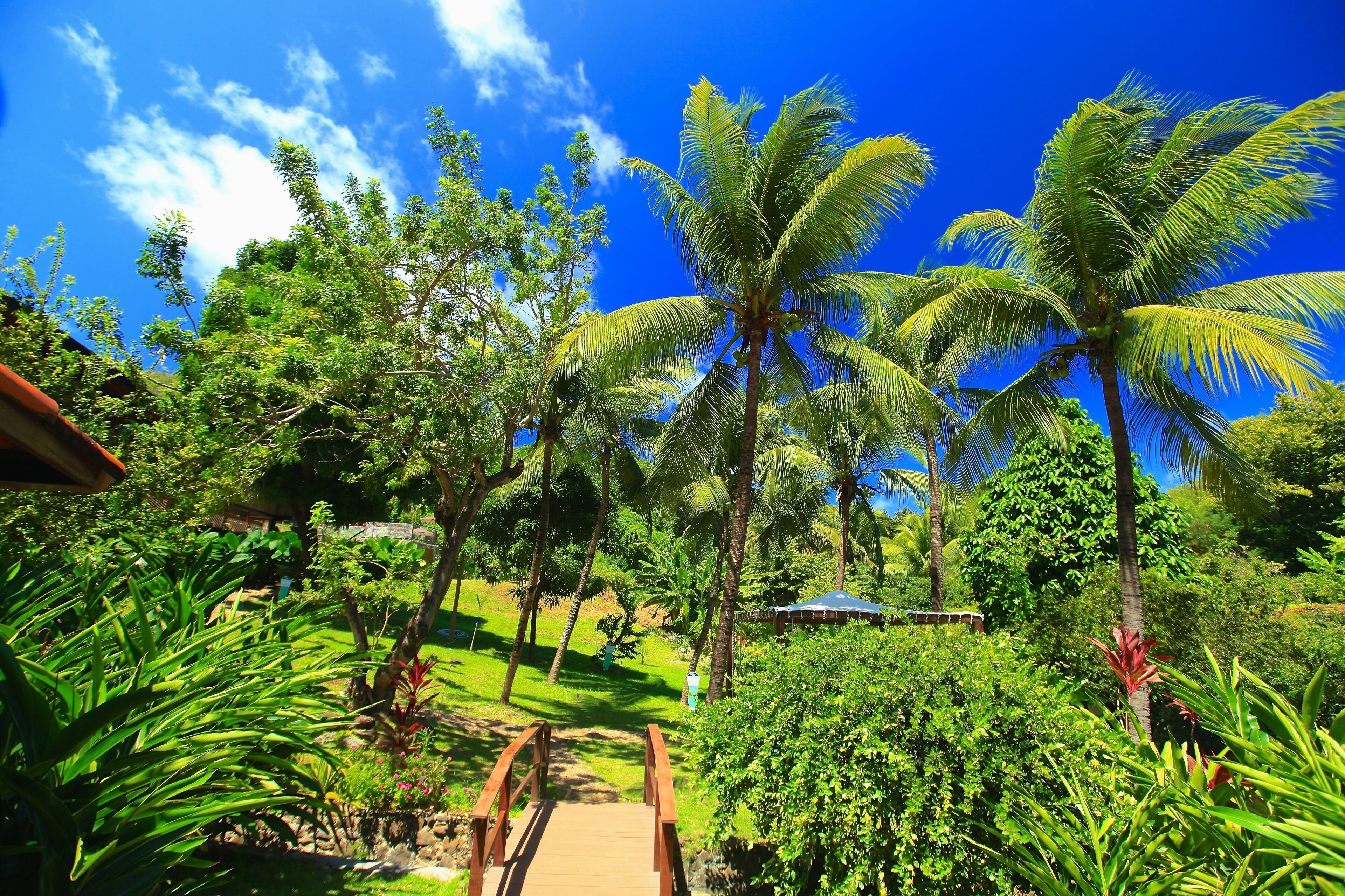 Jardim