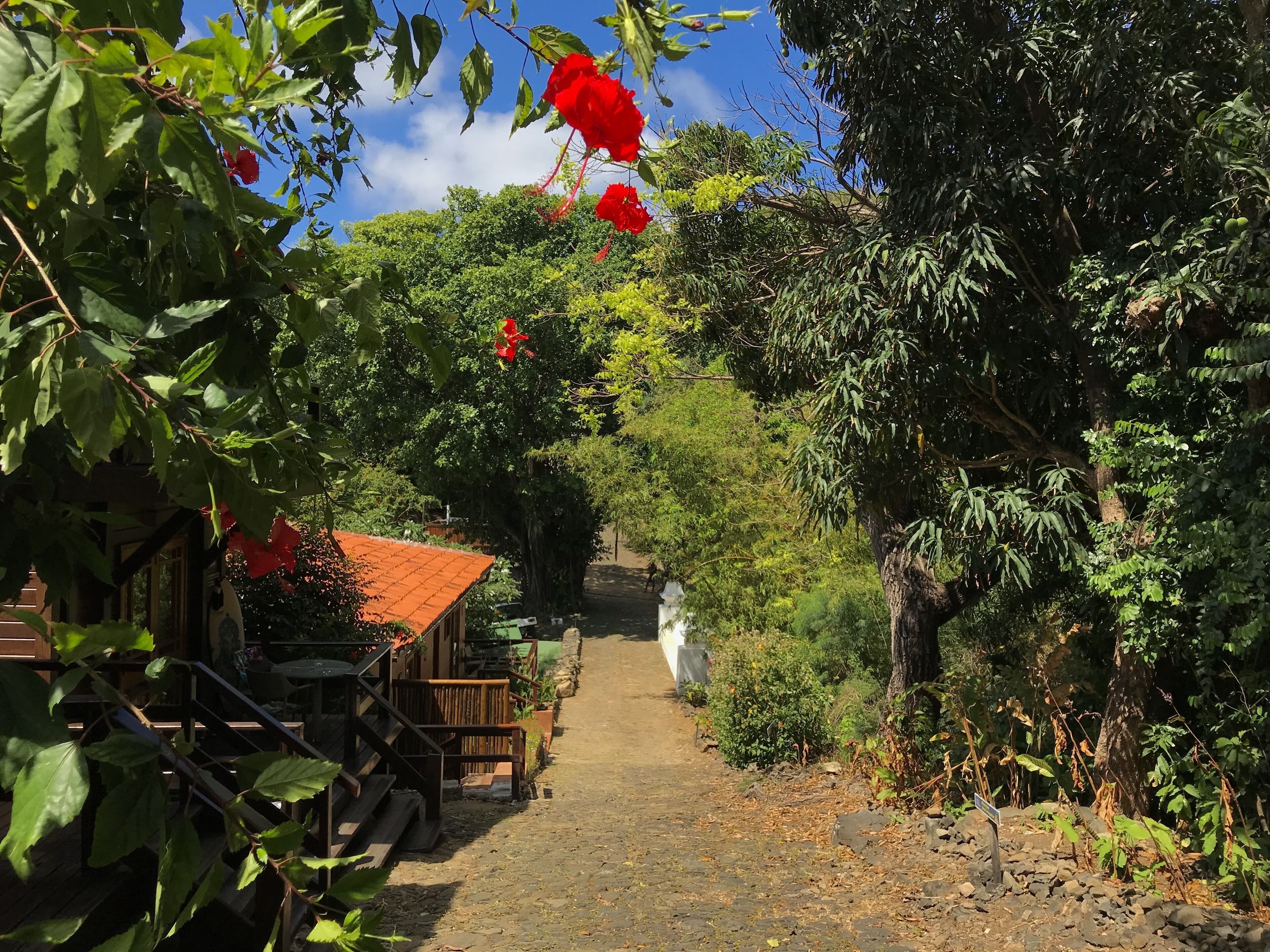 A pathway leading to a rustic building with a red roof, surrounded by lush greenery and trees.