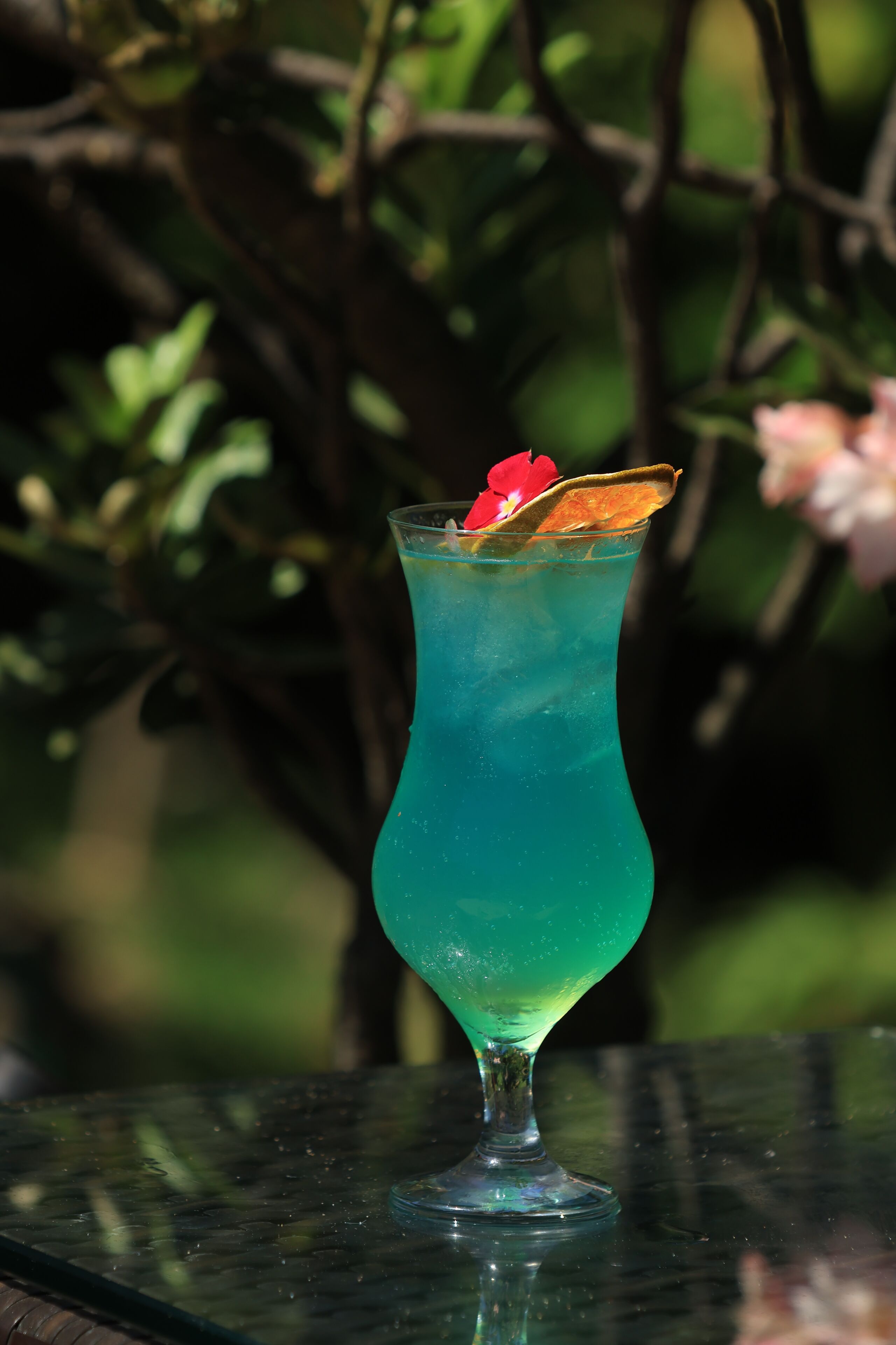 Un verre contenant un liquide bleu, peut-être un cocktail, posé sur une table devant un arrière-plan flou de couleur verte.