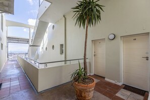 A corridor with a potted plant, a door labeled '47', and a view of a bridge in the distance.