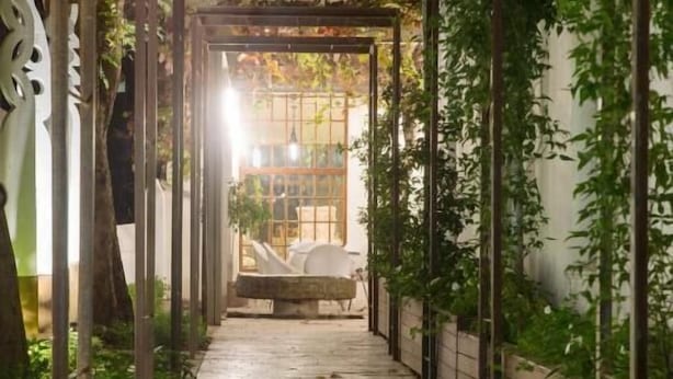 Un étroit sentier en briques menant à une entrée avec une porte en verre, entouré de verdure et de structures métalliques.