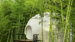 A modern spherical structure surrounded by bamboo forest. - Planet Zero Retreat (Huzhou)
