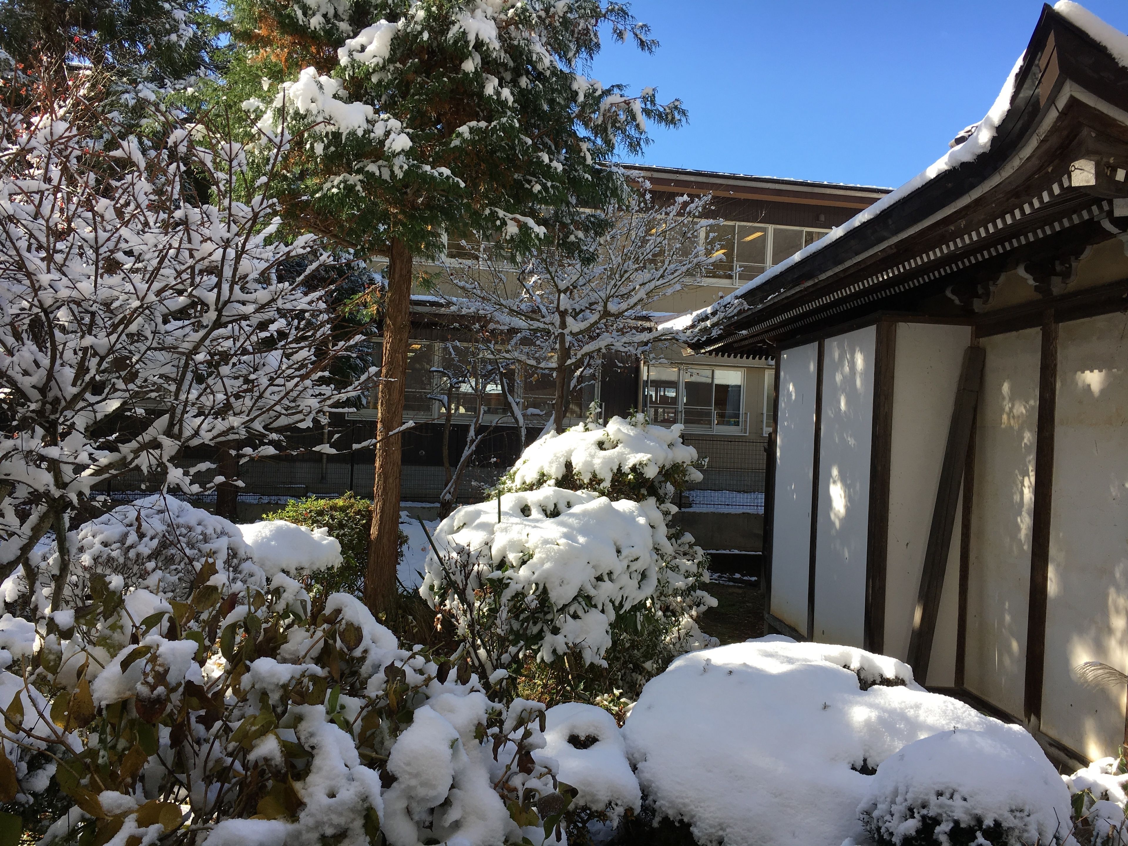 A traditional building with a snow-covered roof and adjacent trees.
